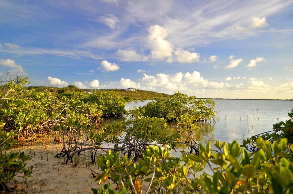 Cooper Jack, Turks and Caicos