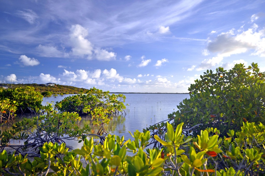 Cooper Jack, Turks and Caicos